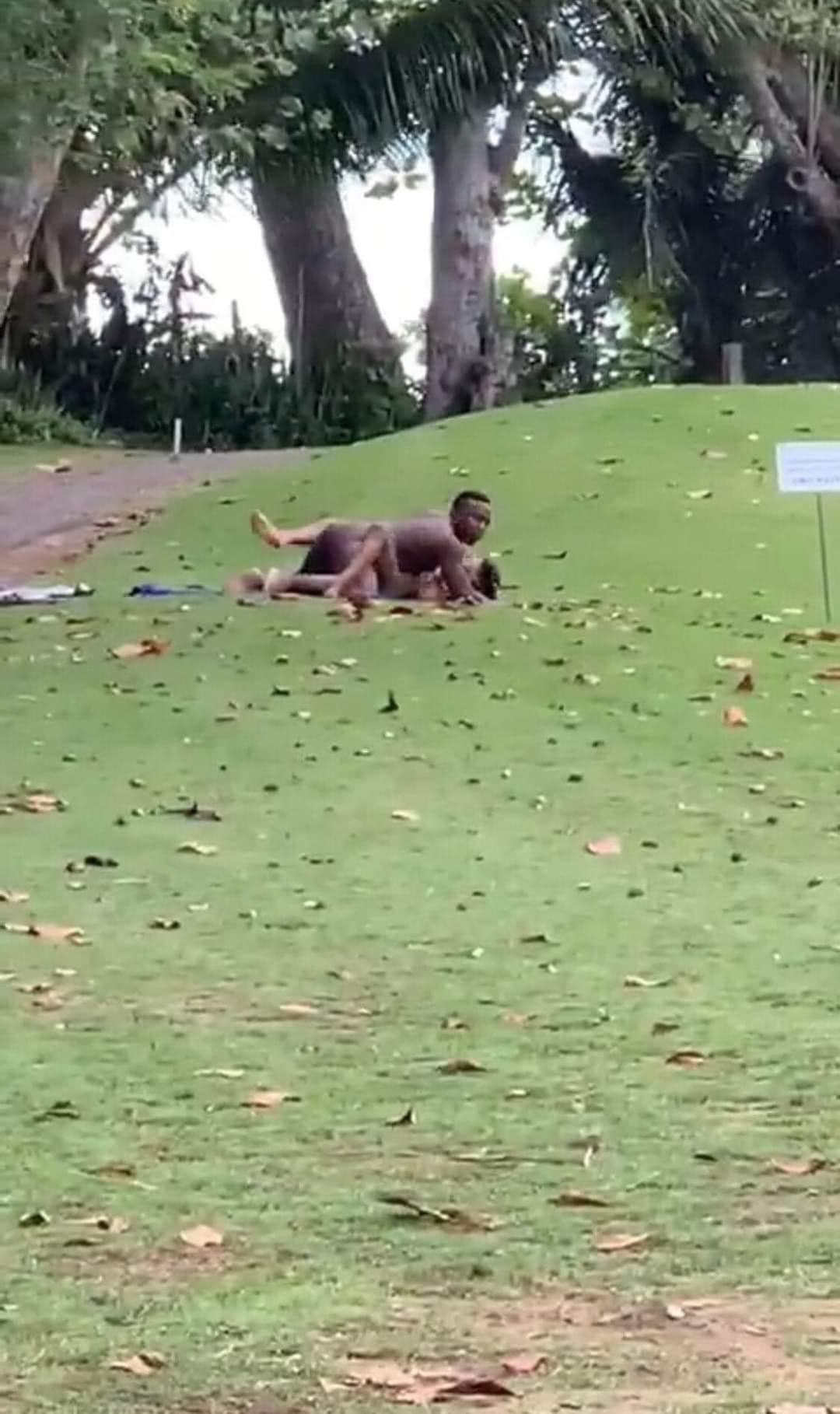 SEX in the park