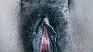 hairy open pussy