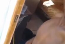 man shows his standing dick