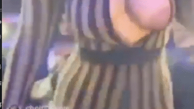 Shenseea nip slip