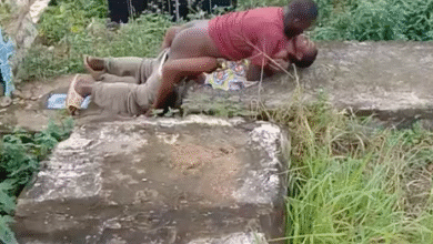 Fucked at the cemetery