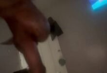 Pick Her Up and Fuck Her in Air