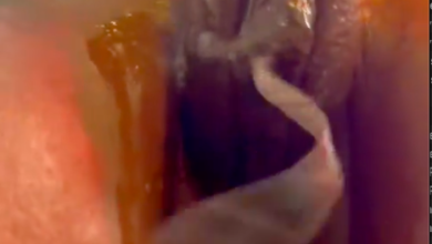 Pussy still dripping from the sex