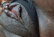 Ebony pussy ring